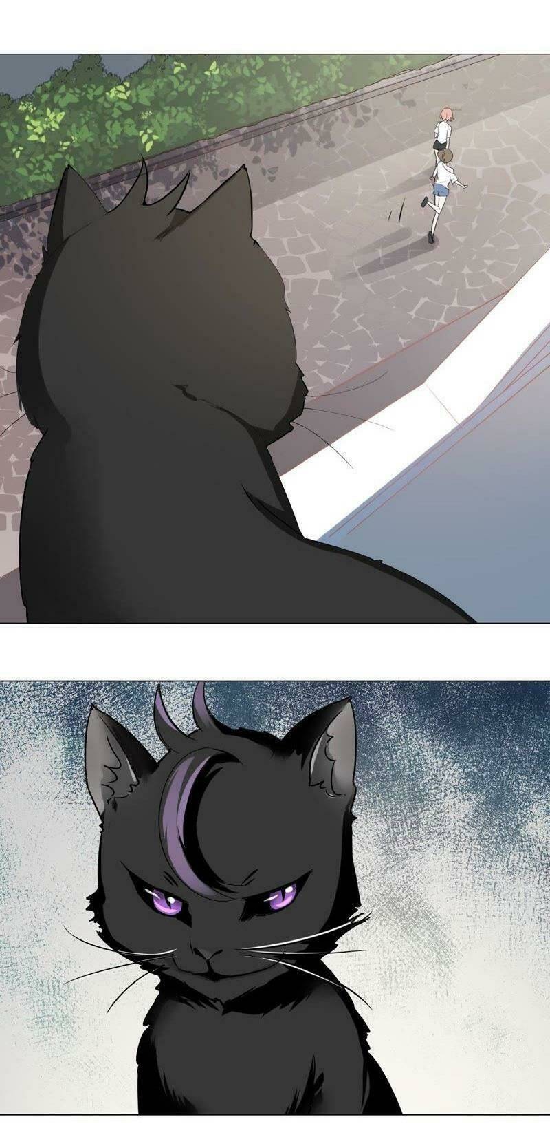 Thập Nhị Hắc Miêu: Chapter 2