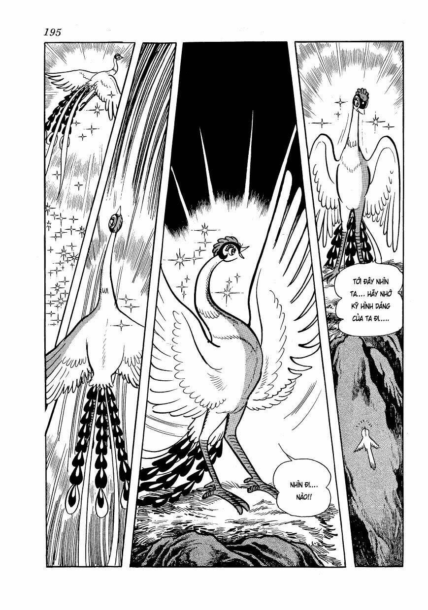 Chim Lửa: Chapter 48