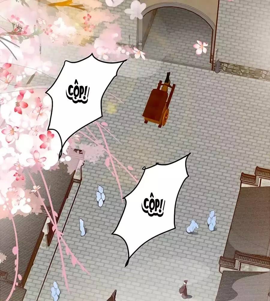 Thịnh Thế Lê Hoa Điện: Chapter 94