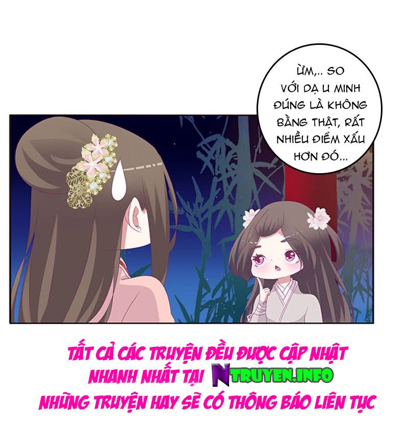 Thông Linh Phi: Chapter 340