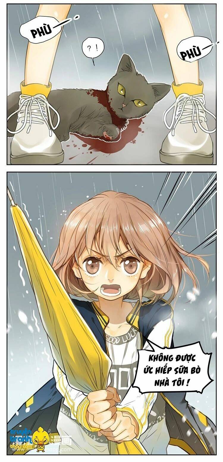 Cứu Mạng! Loài Mèo Thống Trị Thế Giới Rồi!: Chapter 25