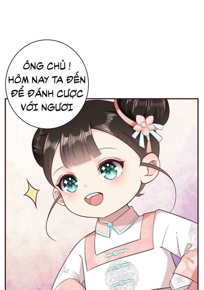 Quận Chúa Vững Vàng, Thiết Lập Nhân Vật Không Thể Vỡ: Chapter 1