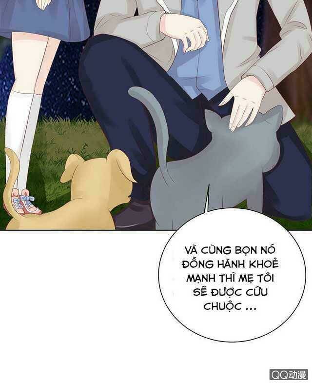 Băng Sơn Học Trưởng Không Được Chọc: Chapter 45.2