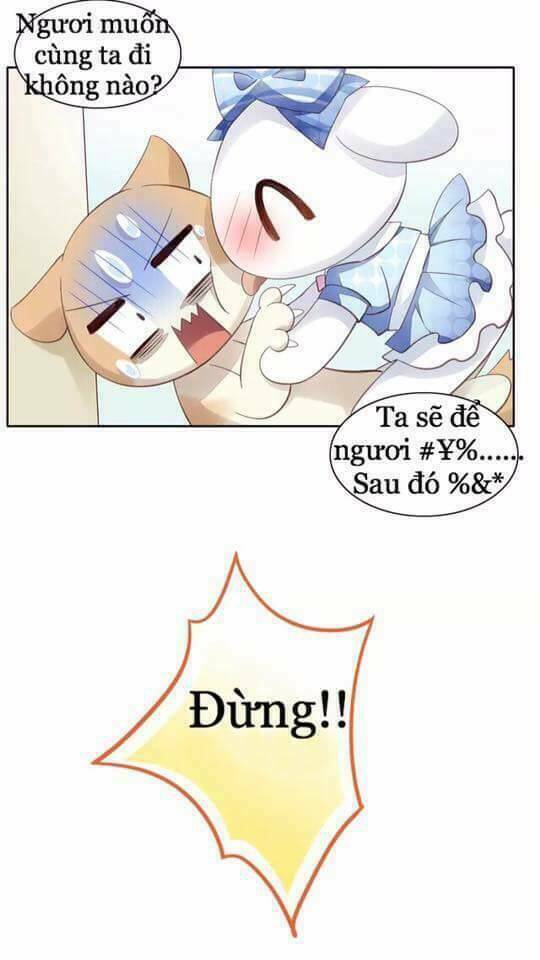 Dưới Móng Vuốt Mèo: Chapter 7