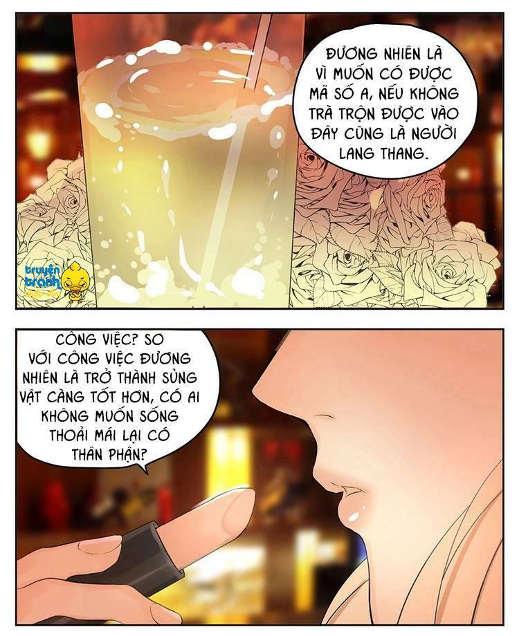 Cứu mạng ! Loài mèo thống trị thế giới rồi !: Chapter 18