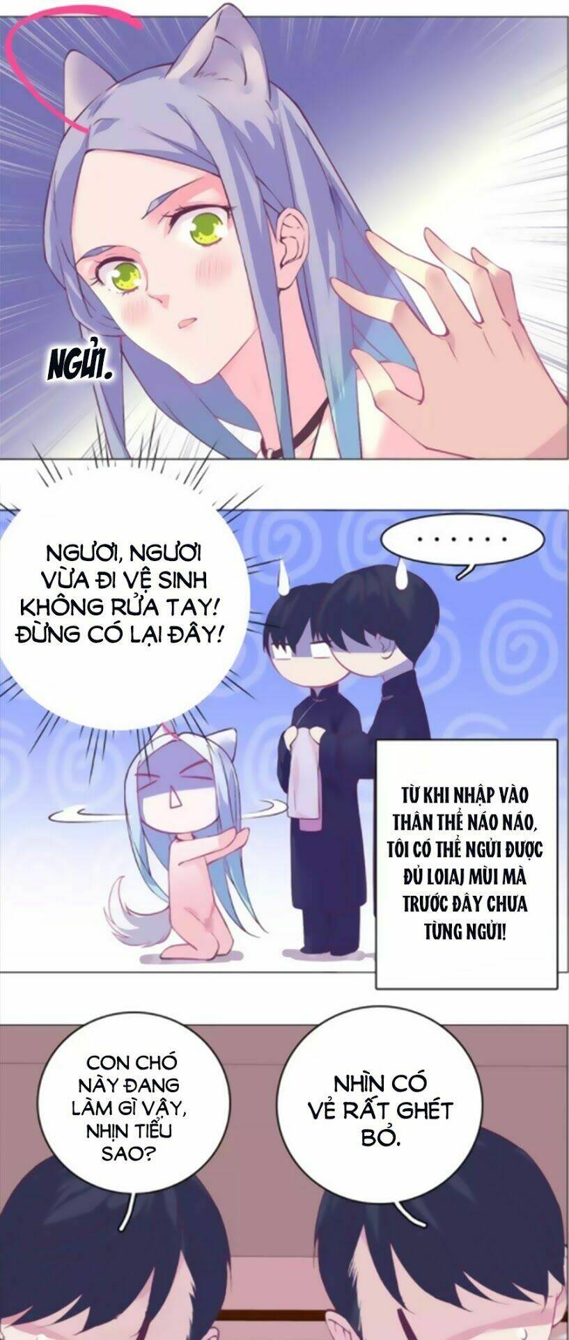 Đừng Nghịch, Ta Chỉ Muốn Yên Tĩnh: Chapter 32