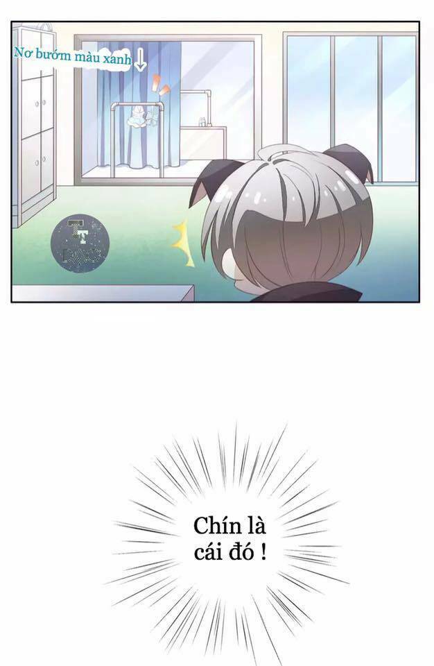 Dưới Móng Vuốt Mèo: Chapter 17