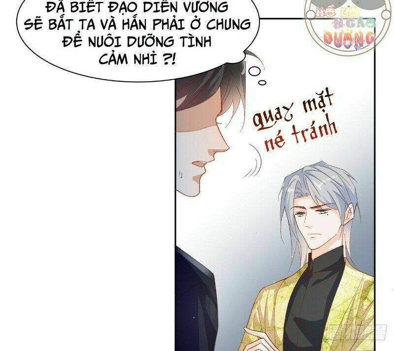 Ảnh Đế Yêu Hồ: Chapter 38