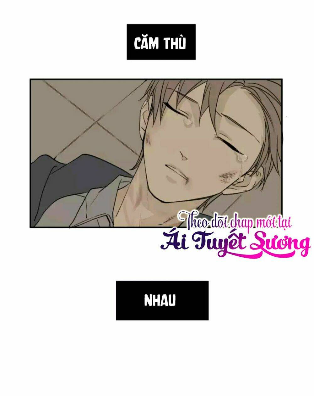 Tâm Chi Kiển: Chapter 5