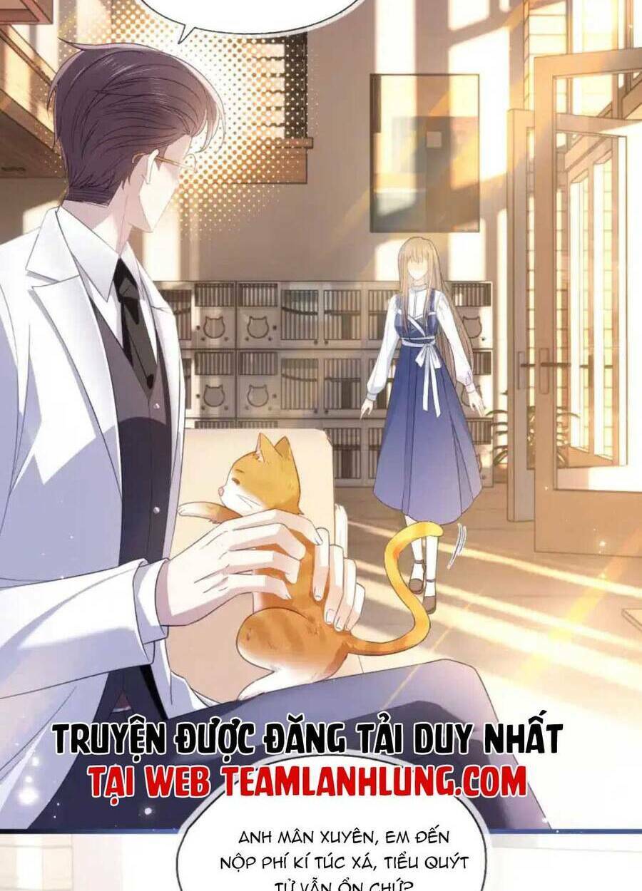 Thế Thân Hào Môn: Chapter 11