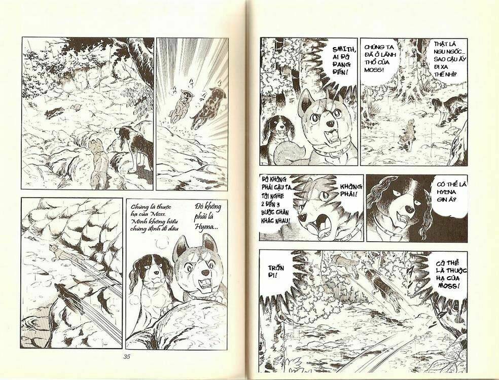 Chú Chó Có Nghĩa - Ginga Nagareboshi Gin: Chapter 13