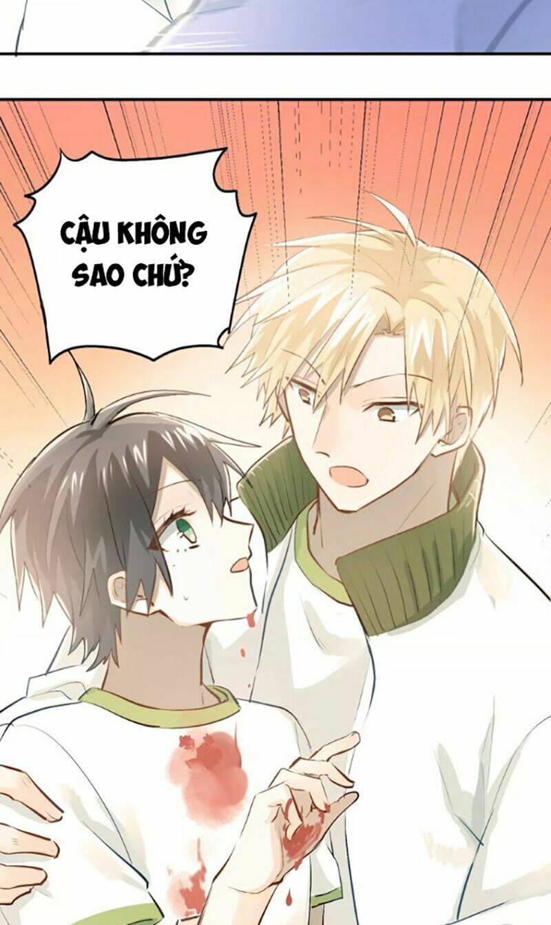 Đầu Gấu Biết Yêu: Chapter 58