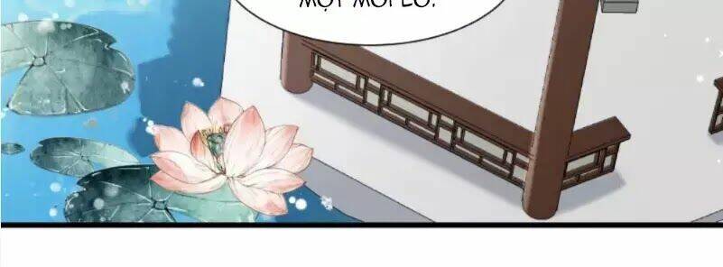 Tiểu Hoàng Thư Và Tiểu Hoàng Thúc: Chapter 50