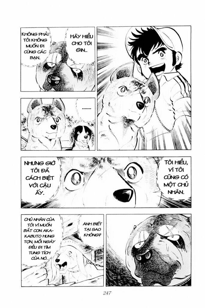 Chú Chó Có Nghĩa - Ginga Nagareboshi Gin: Chapter 30.1