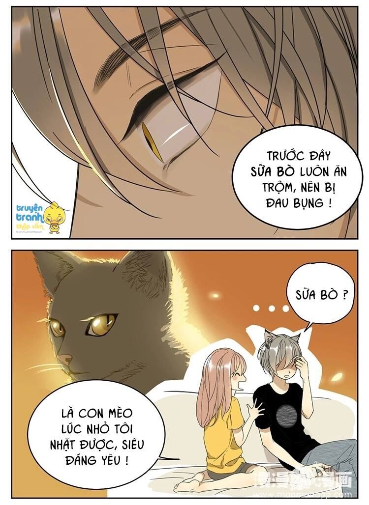 Cứu mạng ! Loài mèo thống trị thế giới rồi !: Chapter 11
