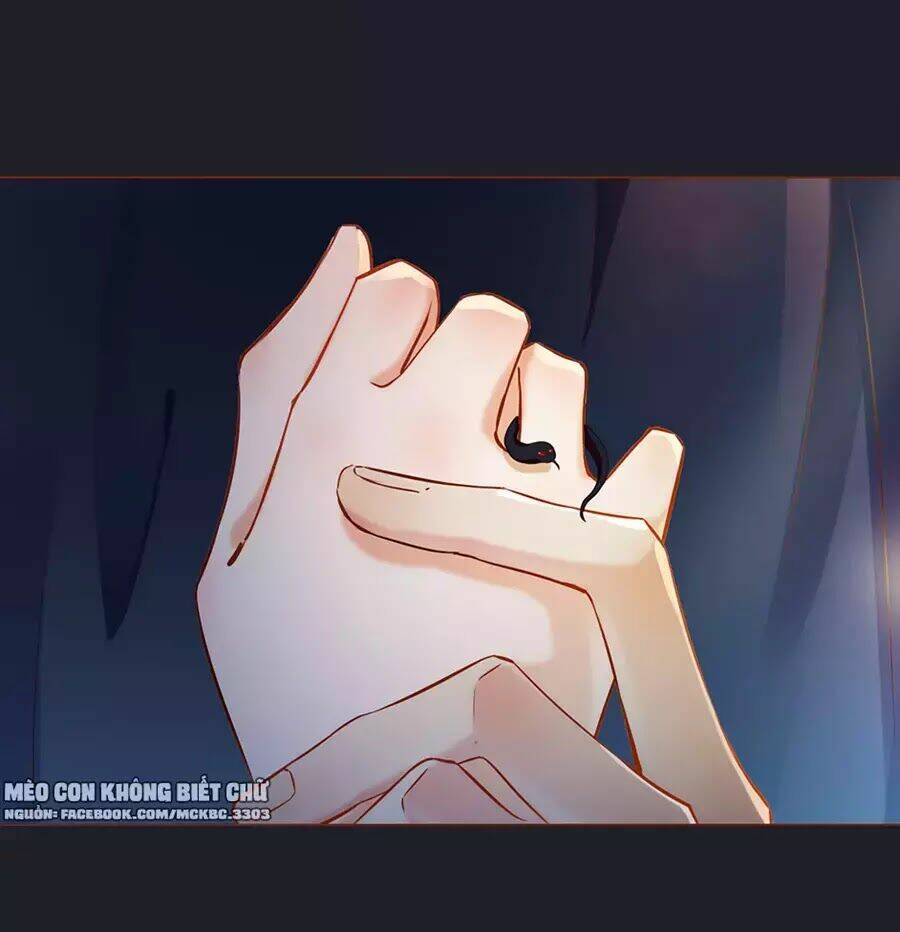 Boss Khủng Bố Chiếm Đoạt Ta: Chapter 1