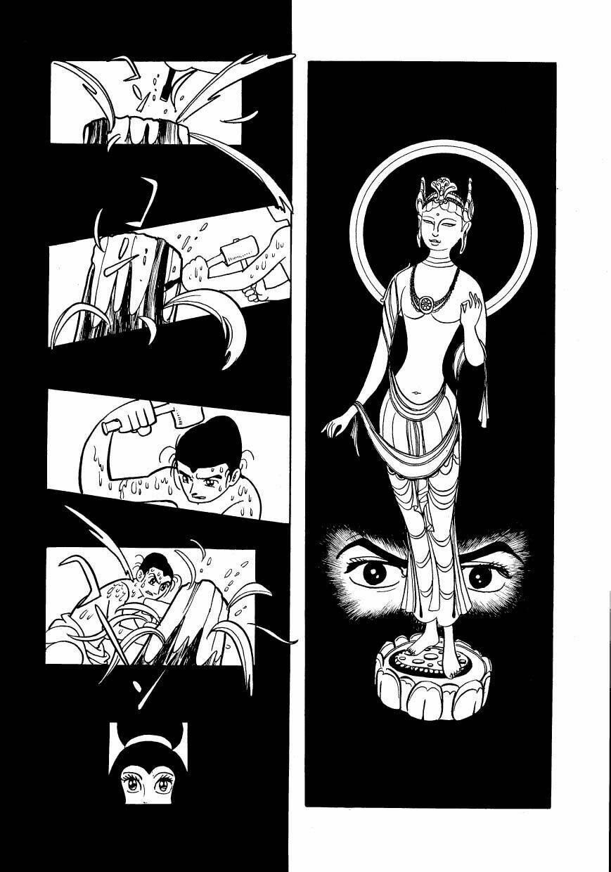 Chim Lửa: Chapter 48