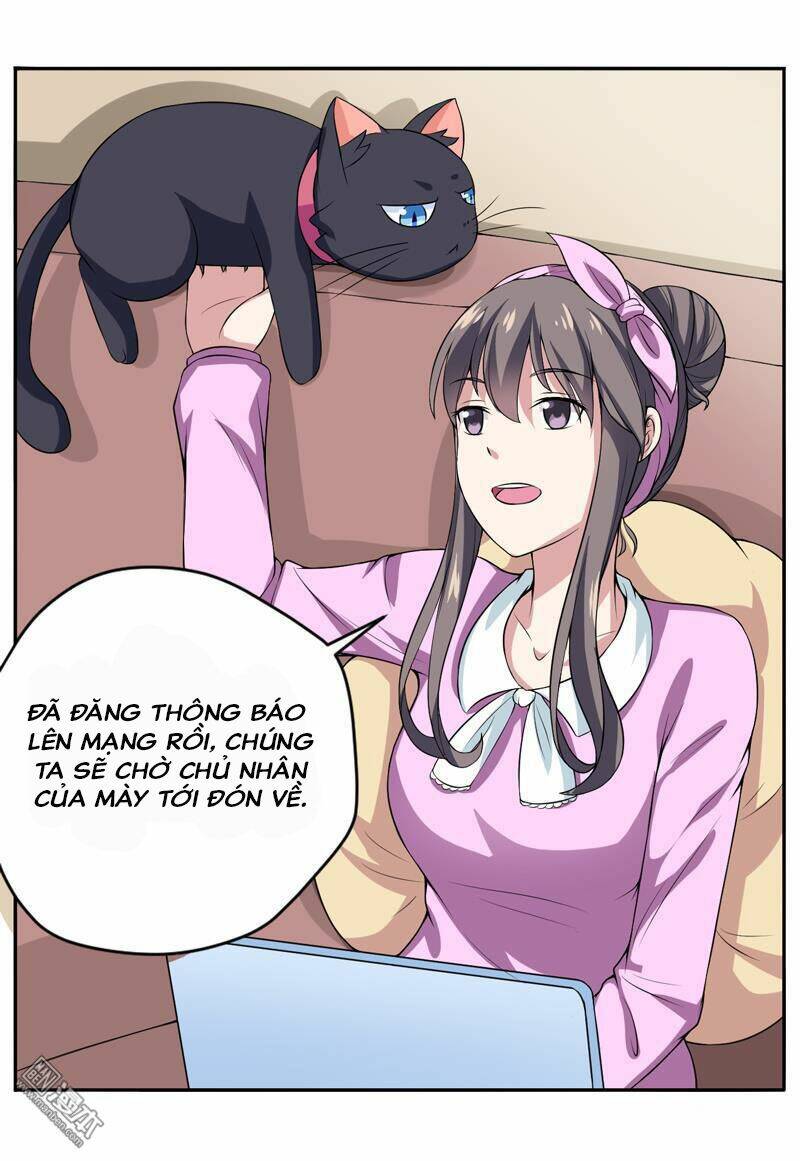 Miêu Vương Tại Thượng: Chapter 6