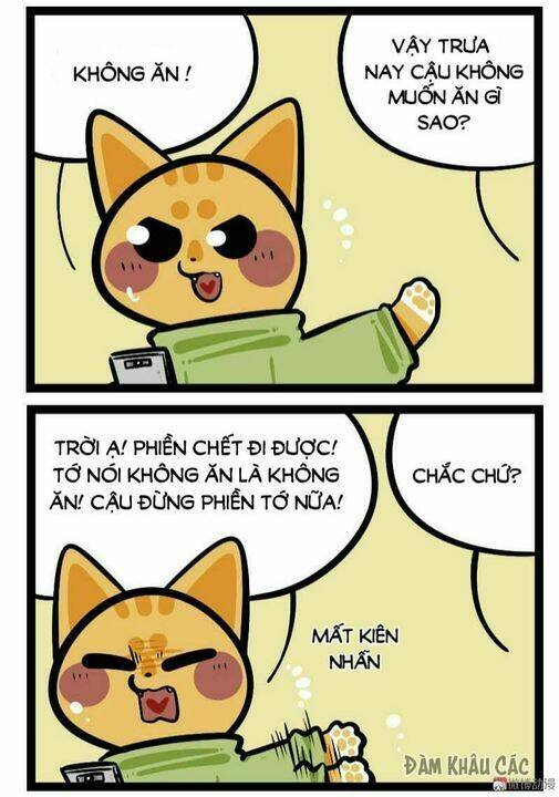 Đời Không Như Mình Tưởng: Chapter 58
