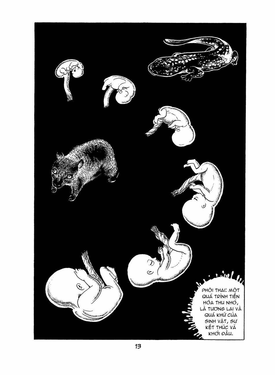 Apollo\’s Song: Chapter 0