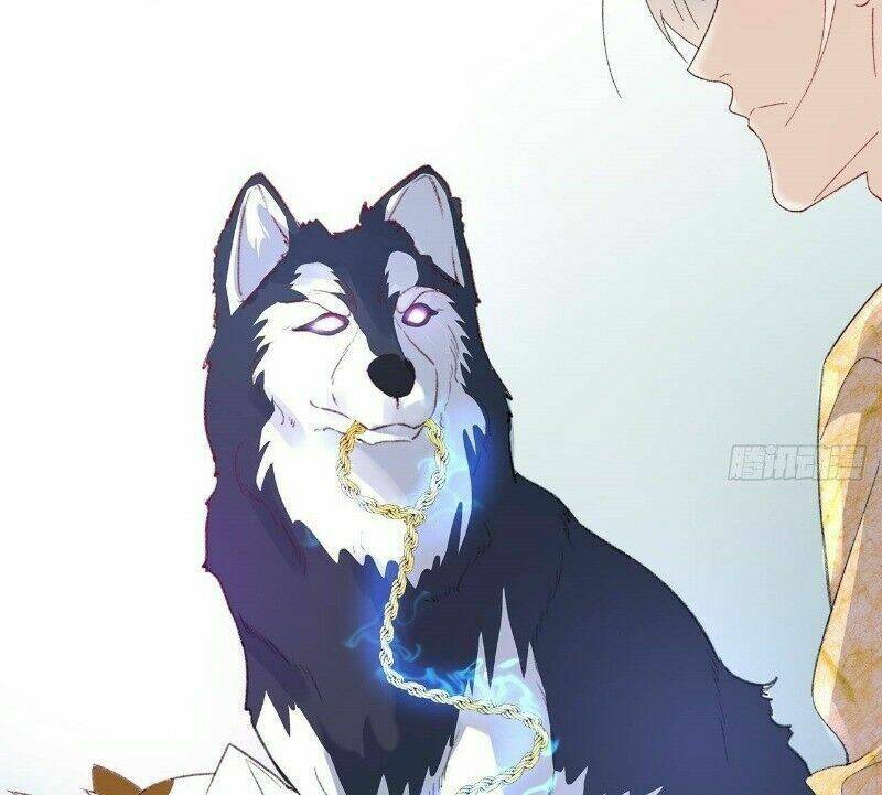 Ảnh Đế Yêu Hồ: Chapter 24