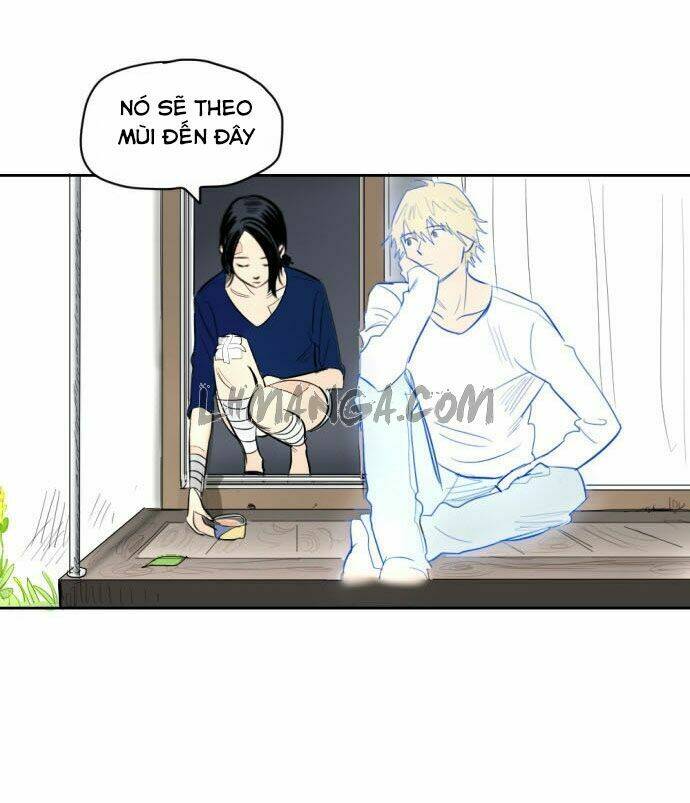 Transparent Cohabitation: Chapter 5