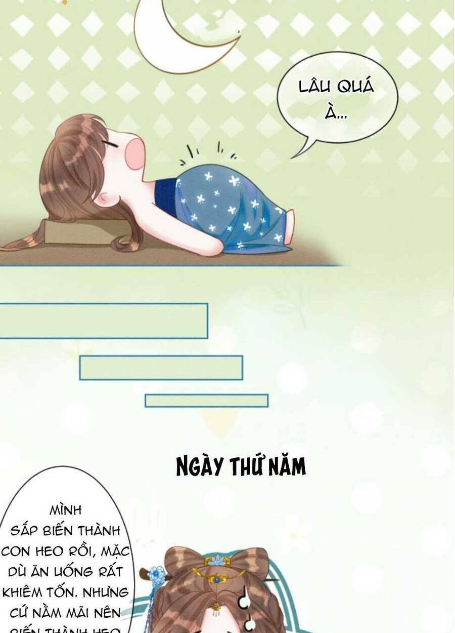 Xung Hỉ Vương Phi: Chapter 48