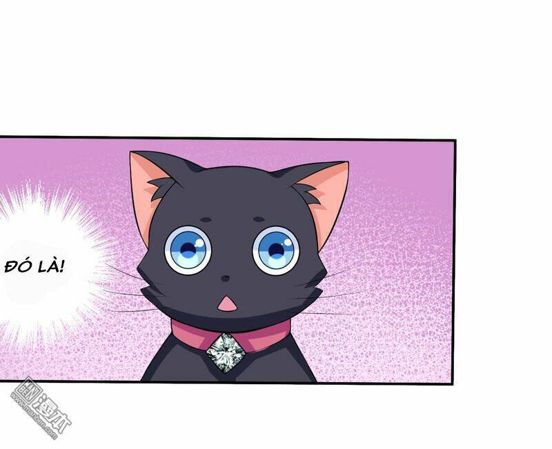 Miêu Vương Tại Thượng: Chapter 7