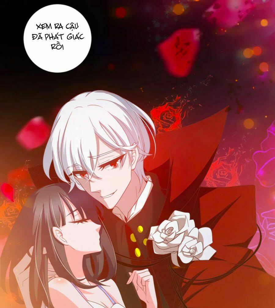 Người Yêu Khát Máu Của Tôi: Chapter 41