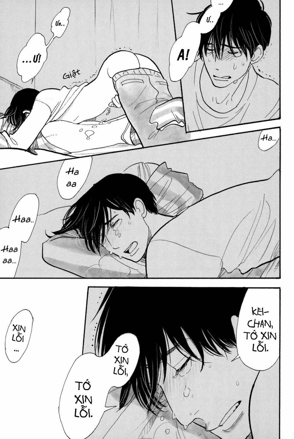 Itoshi No Nekokke - Đường Dài Về Nhà: Chapter 4