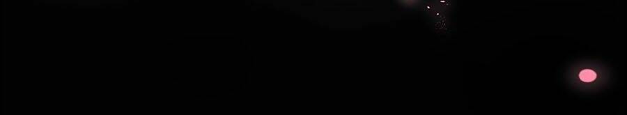 Đóa Hoa Chớm Nở: Chapter 2