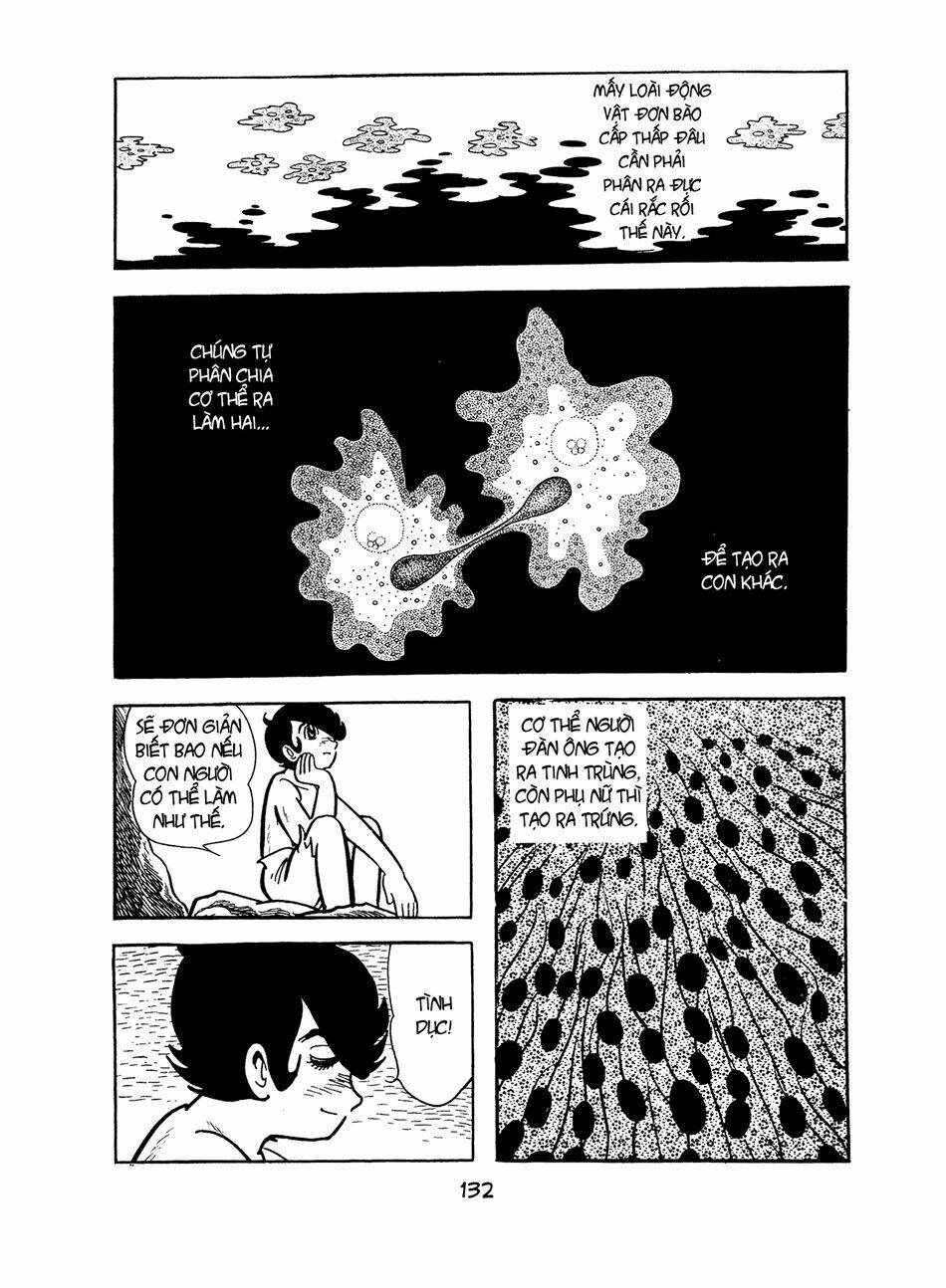 Apollo\’s Song: Chapter 2.2