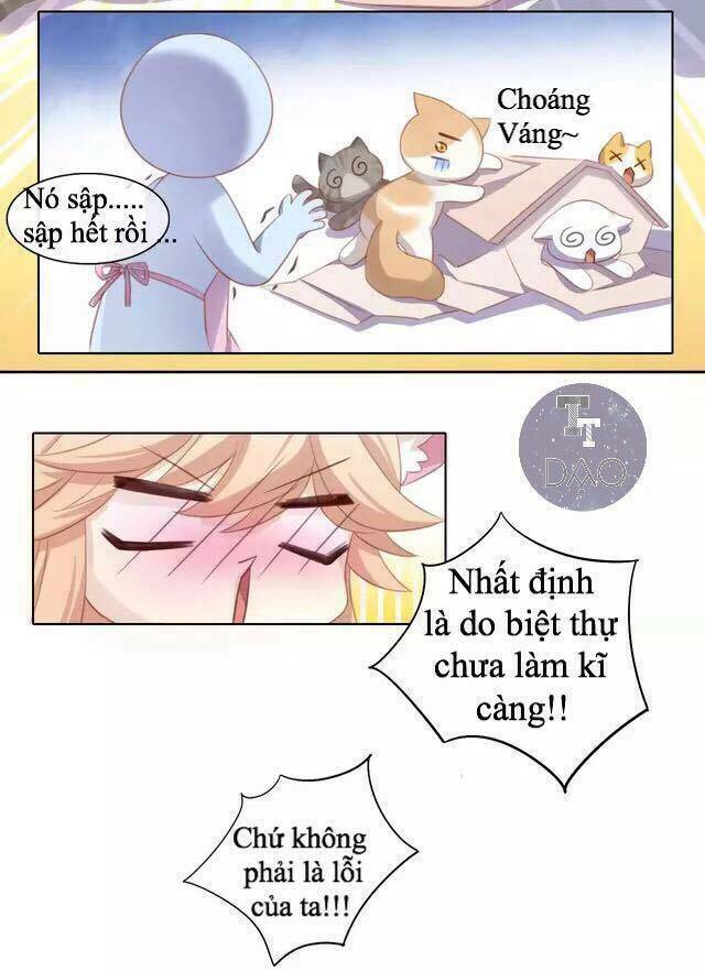 Dưới Móng Vuốt Mèo: Chapter 13