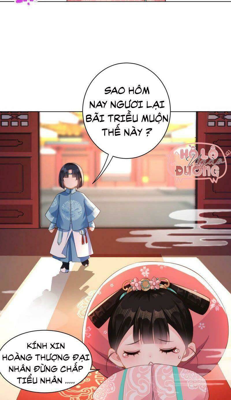 Quận Chúa Vững Vàng, Thiết Lập Nhân Vật Không Thể Vỡ: Chapter 25