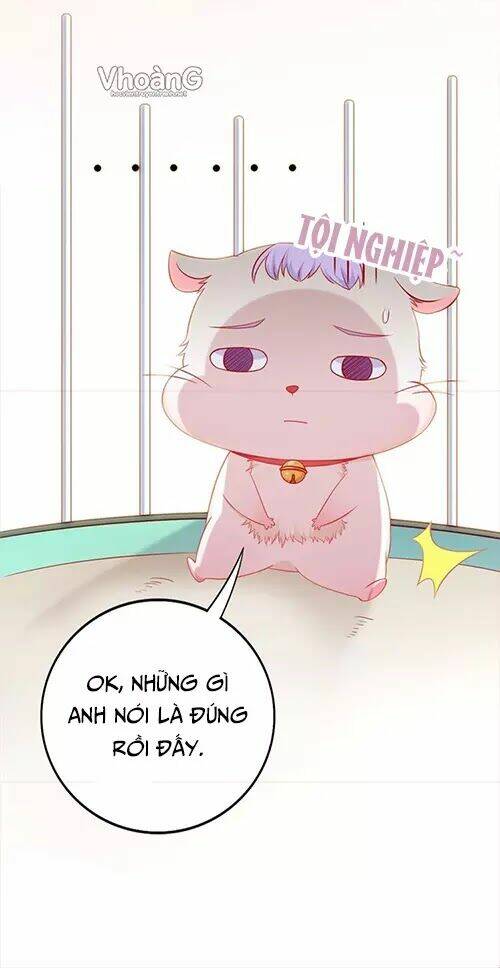 Kế Ước Ngọt Sủng:quốc Dân Lão Công Đích Tiểu Chiếm Giữ Thử: Chapter 2