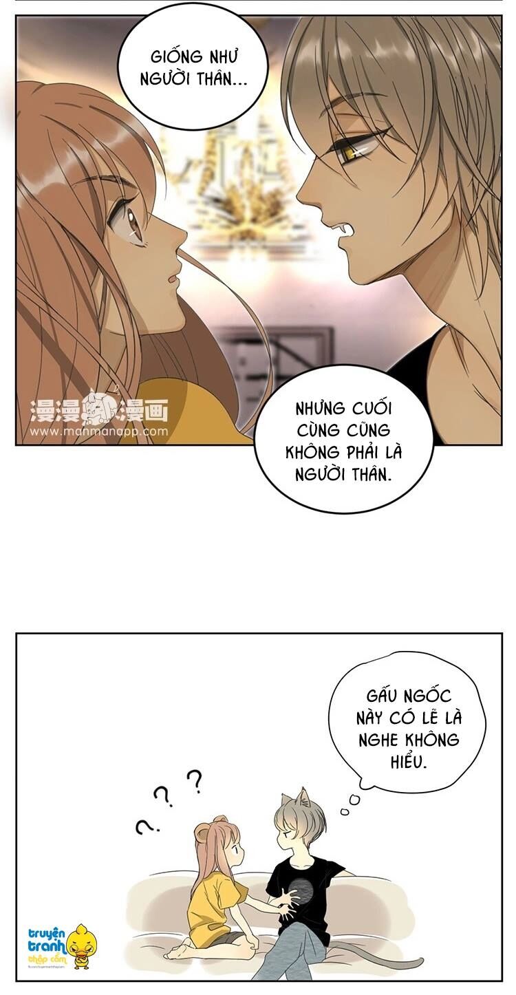 Cứu mạng ! Loài mèo thống trị thế giới rồi !: Chapter 11