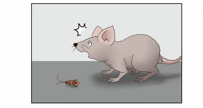 Thế Giới Cận Tử: Chapter 1