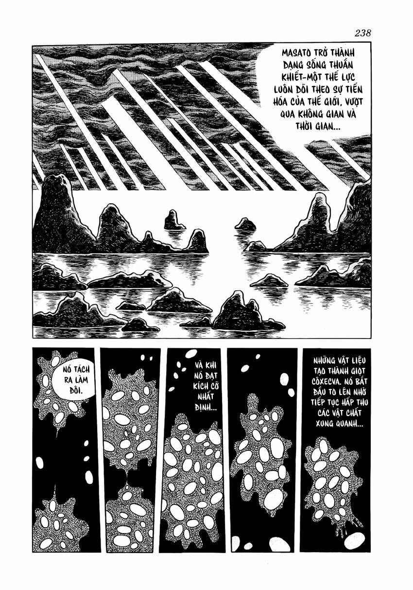 Chim Lửa: Chapter 28