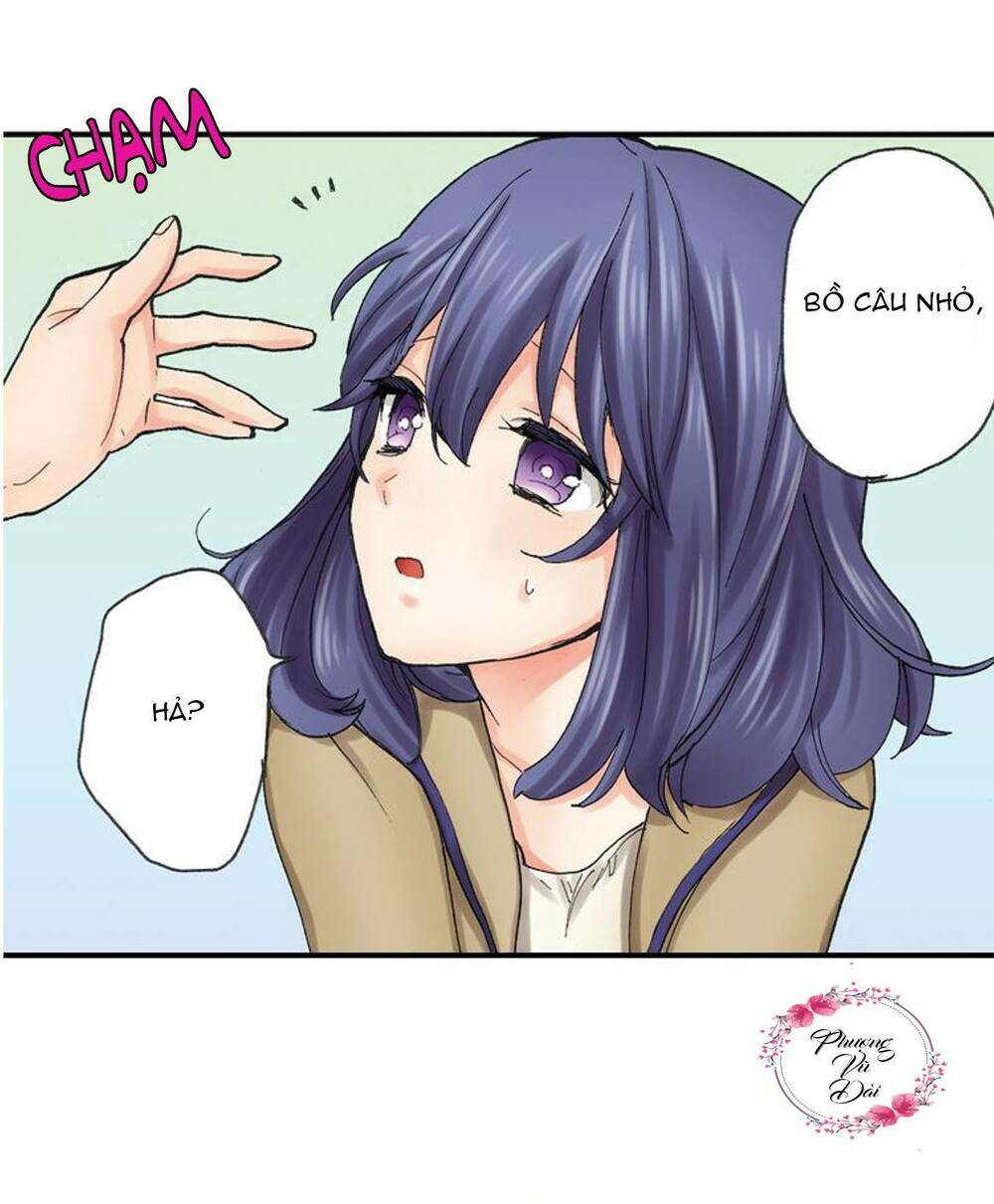 Mệnh Lệnh Tuyệt Đối Của Bá Đạo Vương Tử: Chapter 8