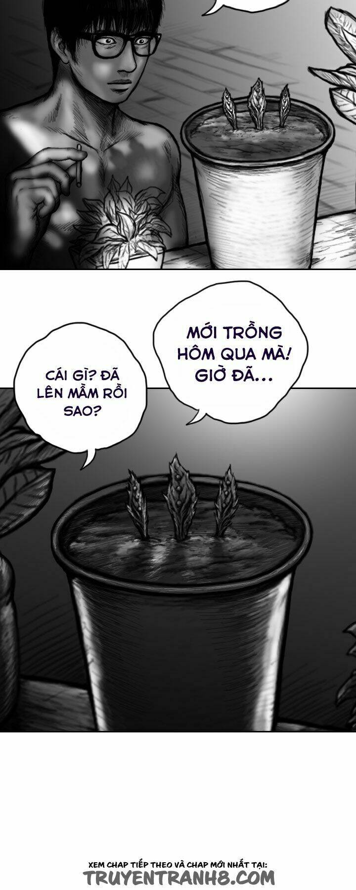 Hạt Giống Mỹ Nhân: Chapter 4