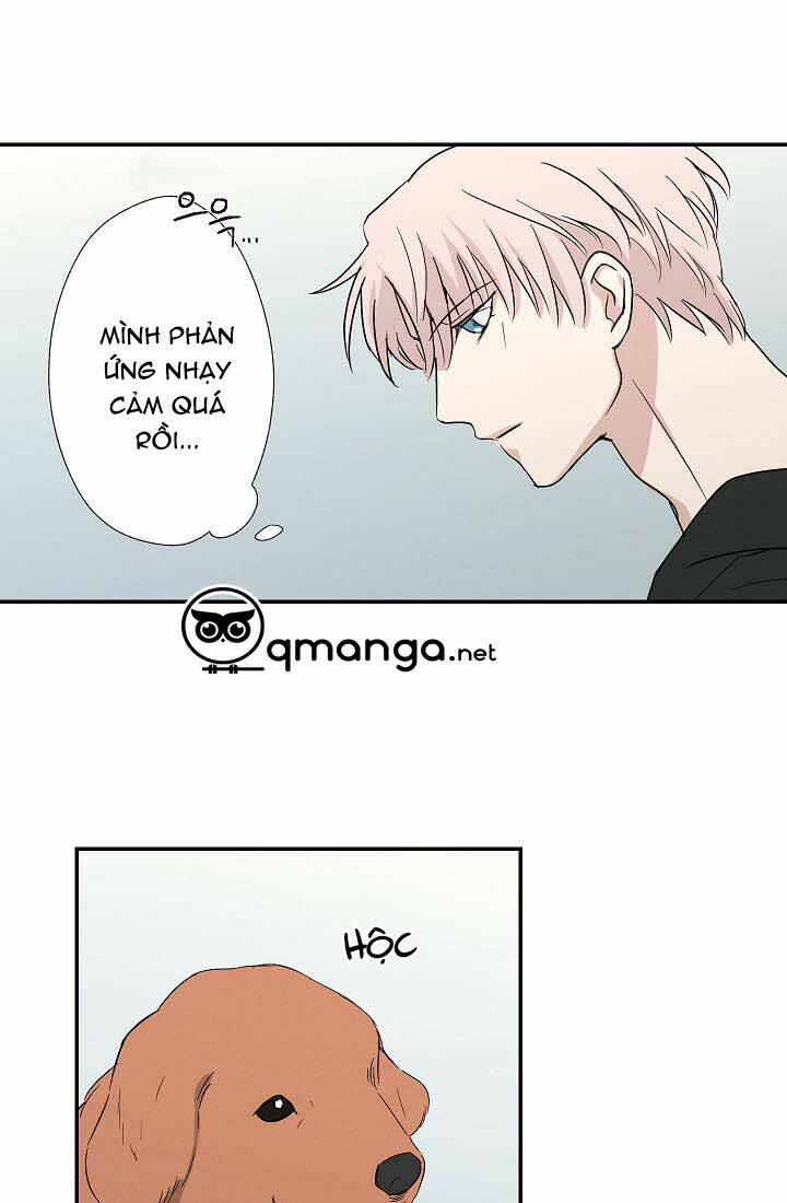 Trốn Tìm: Chapter 13