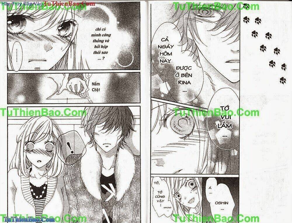 Chàng Sói Dễ Thương: Chapter 4