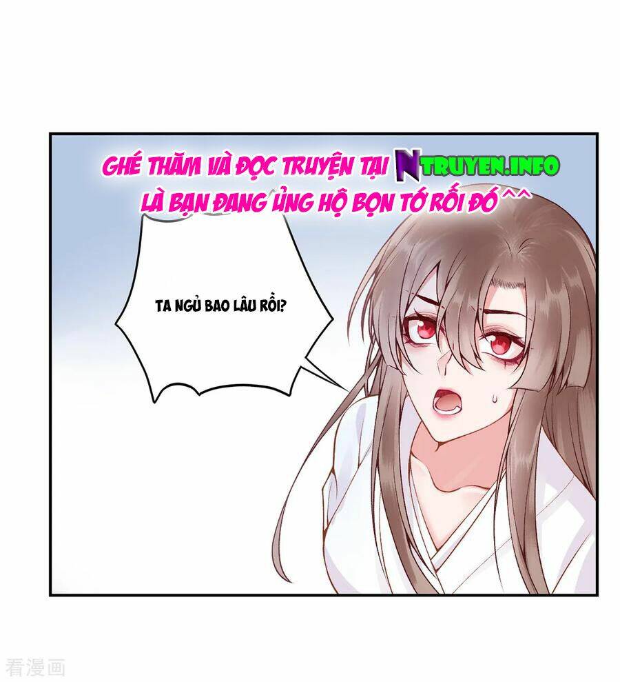 Hoàng Phi 9000 Tuổi: Chapter 77