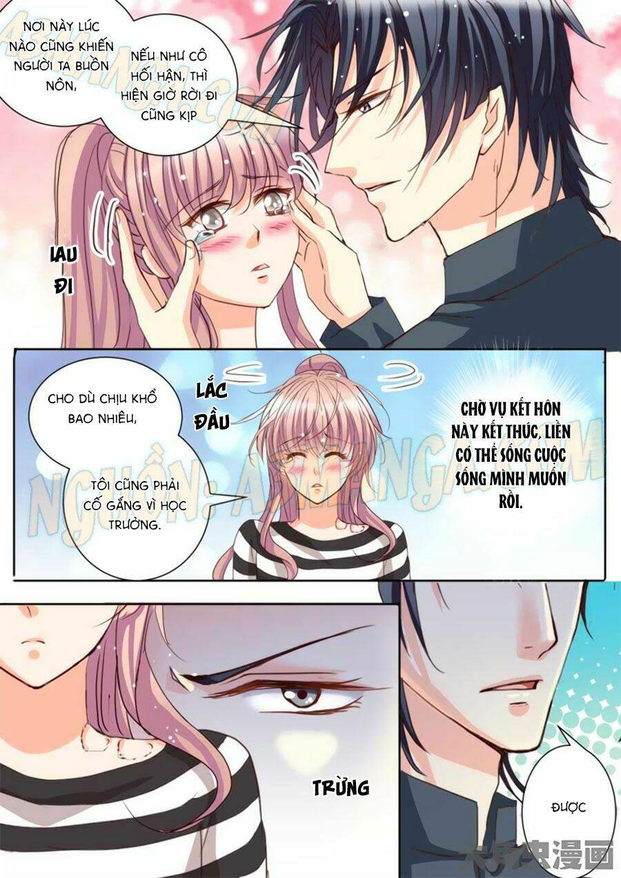 Bá Đạo Tổng Tài Yêu Ta: Chapter 21