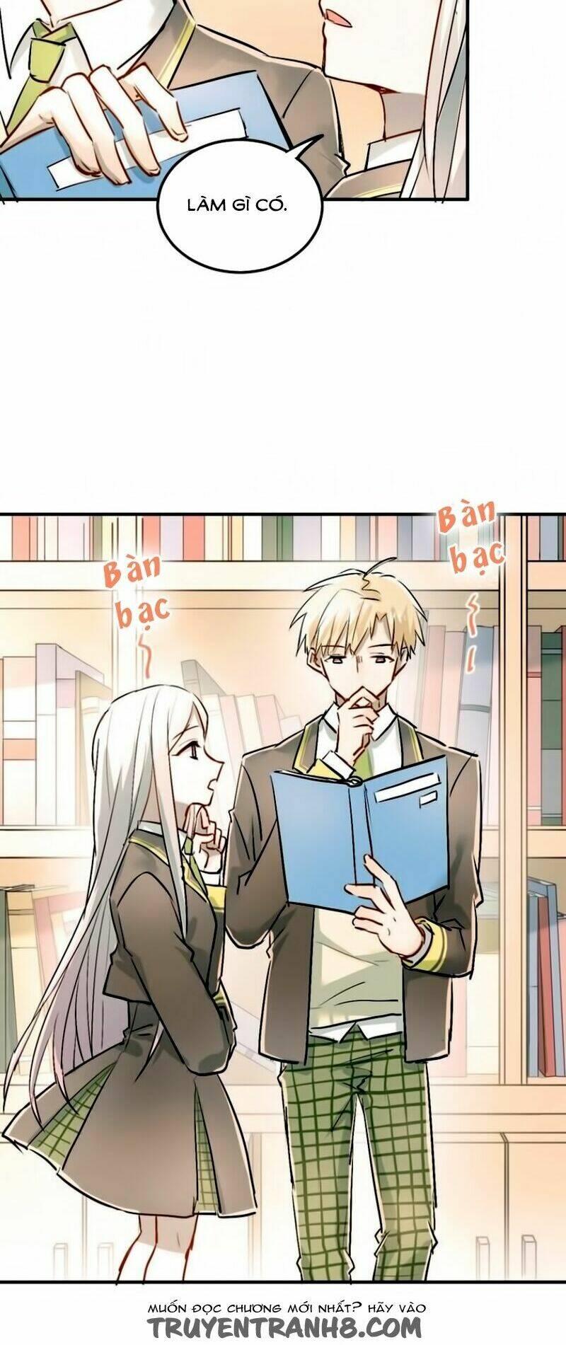 Đầu Gấu Biết Yêu: Chapter 19