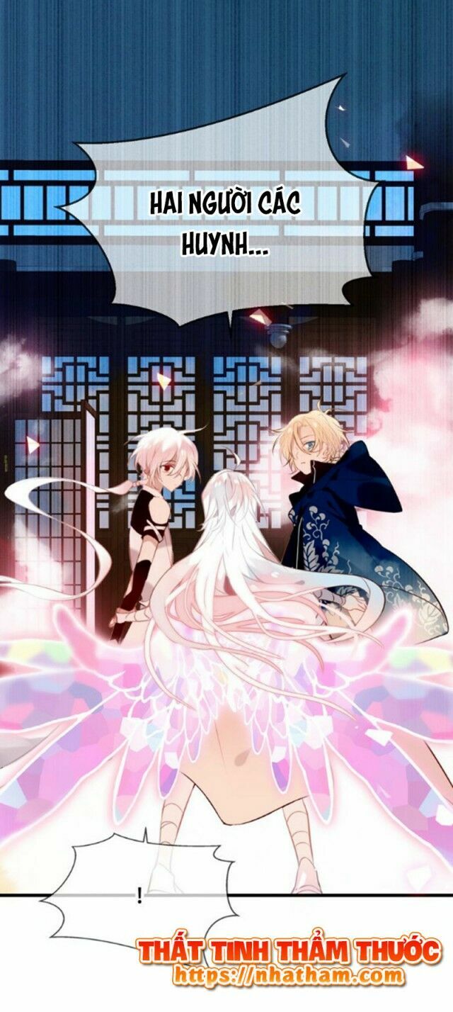 Ngô hoàng tại thượng: Chapter 40