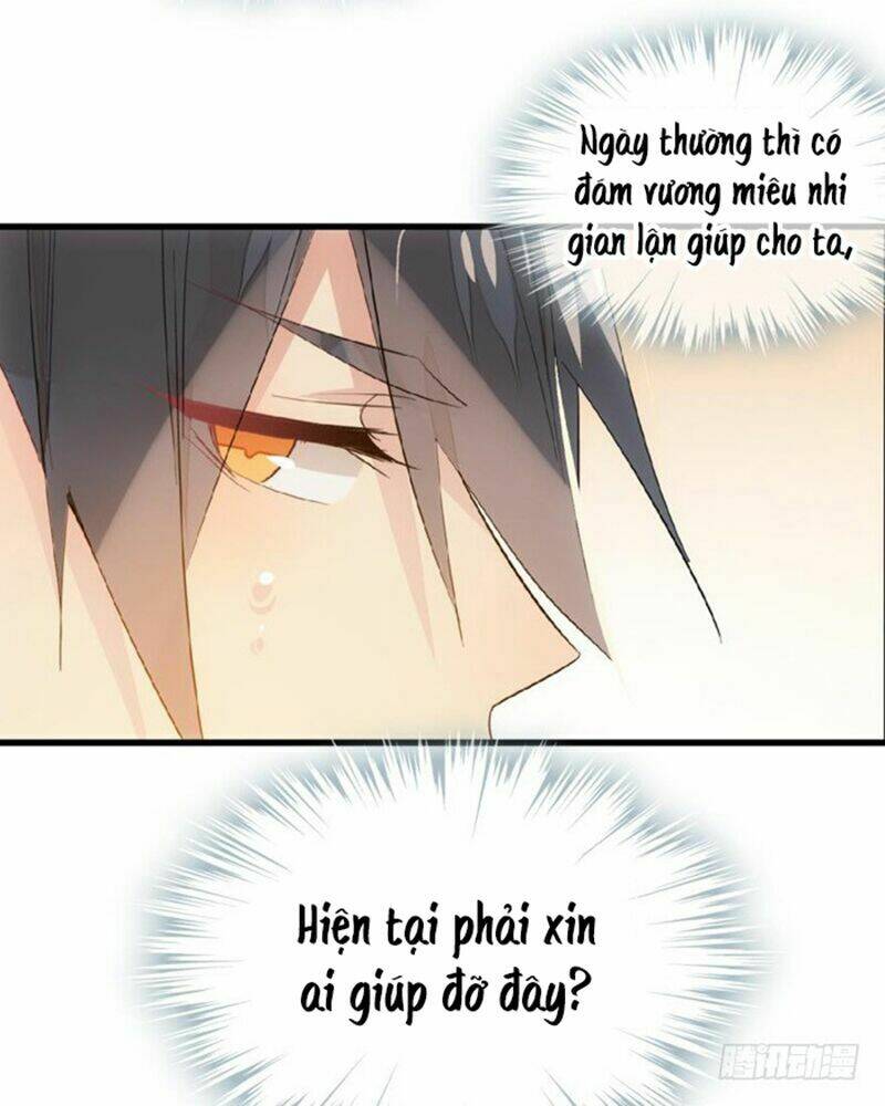 Sư Phụ Lại Trêu Chọc Ta: Chapter 29