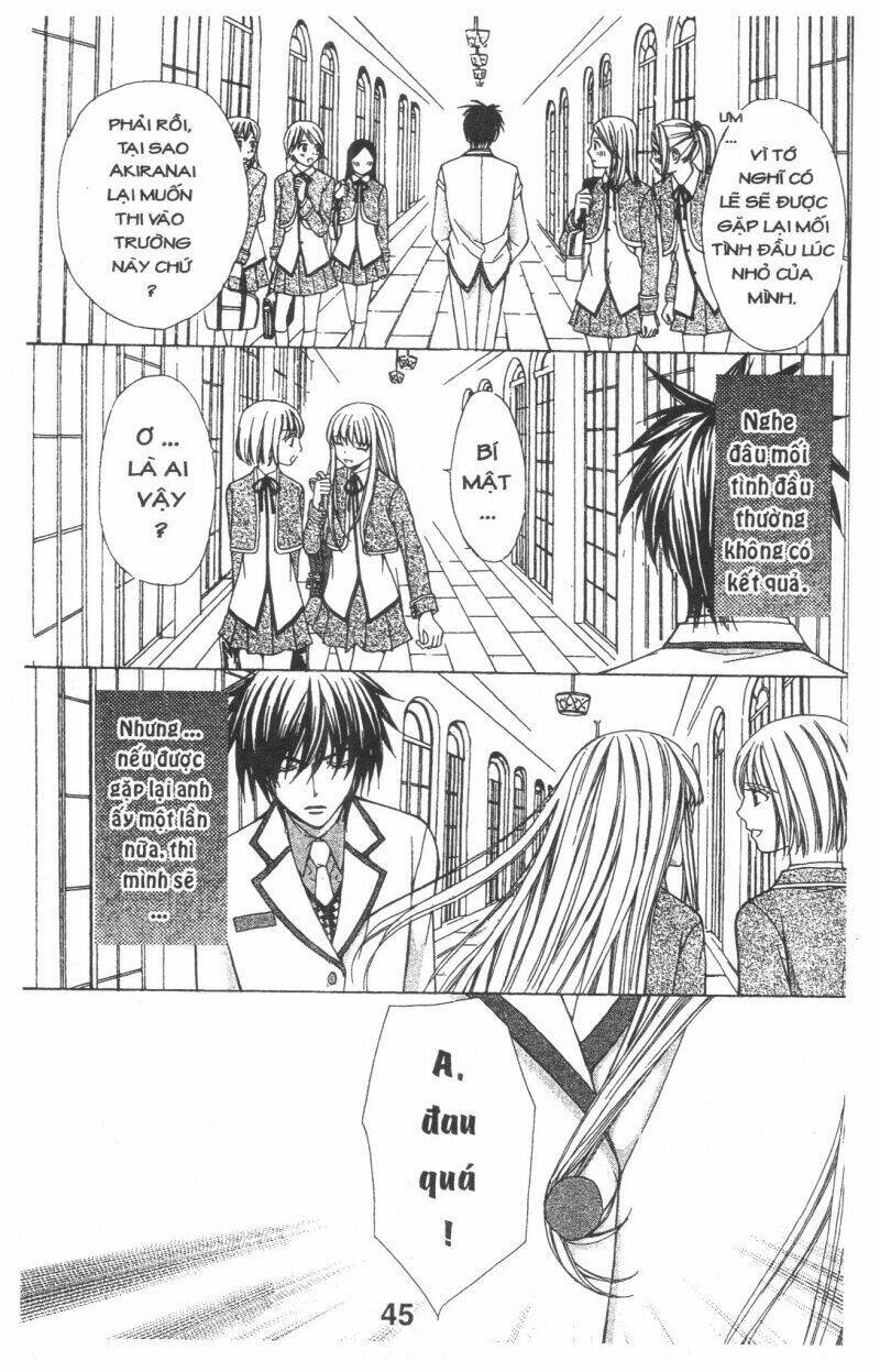 Trái Tim Kim Cương: Chapter 1