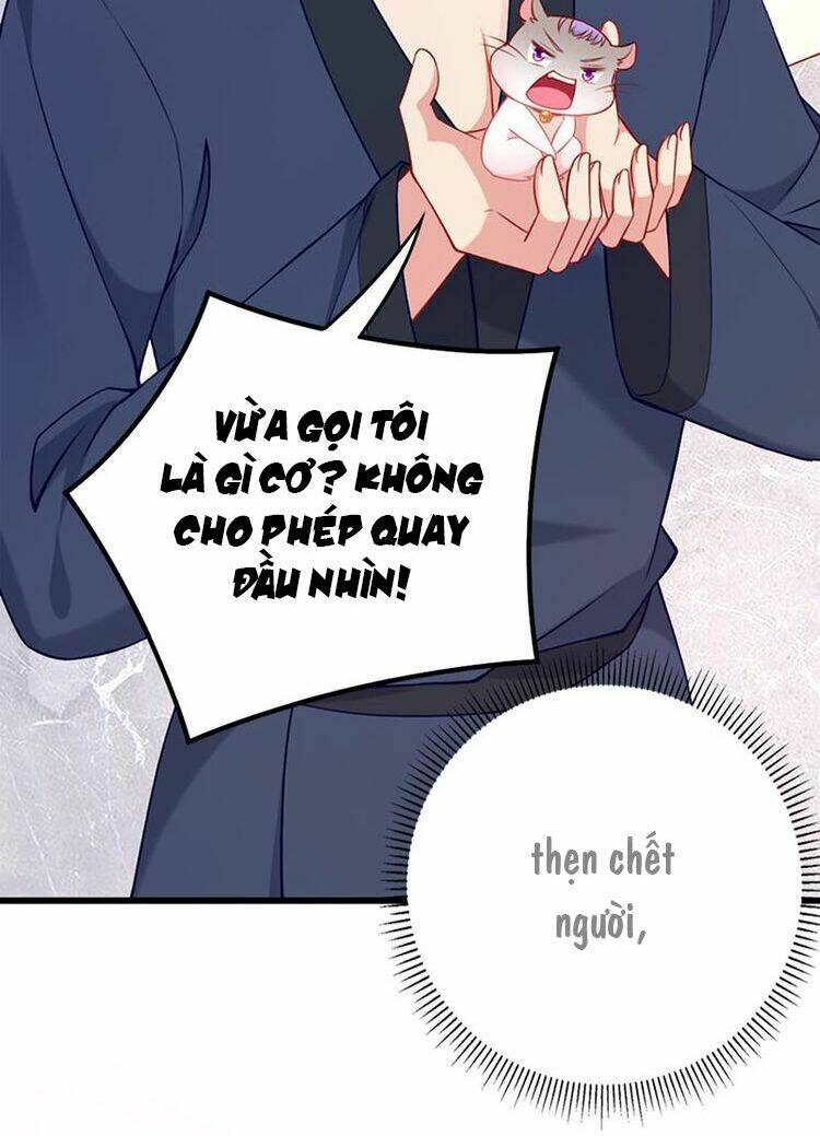 Kế Ước Ngọt Sủng:quốc Dân Lão Công Đích Tiểu Chiếm Giữ Thử: Chapter 4