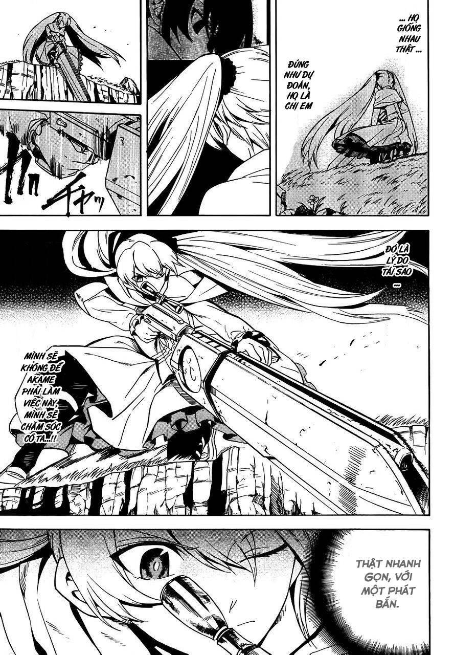 Akame Ga Kiru: Chapter 29